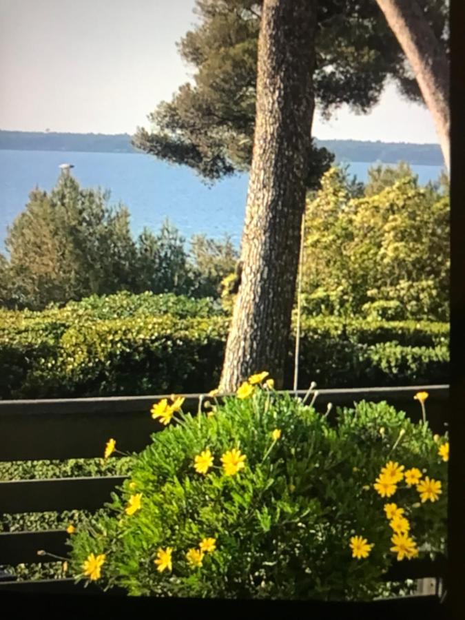 Casa Dade Villa Cannes Exteriör bild